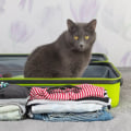 Preparing to Travel With Cats