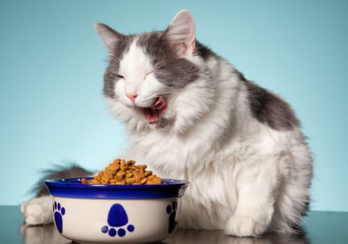 The Ultimate Guide to Dry Cat Food