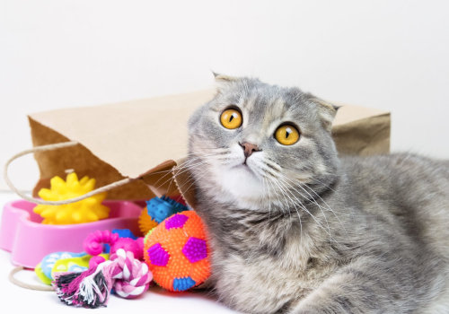 Keep Your Cat Safe: Identifying and Avoiding Toys with Small Parts